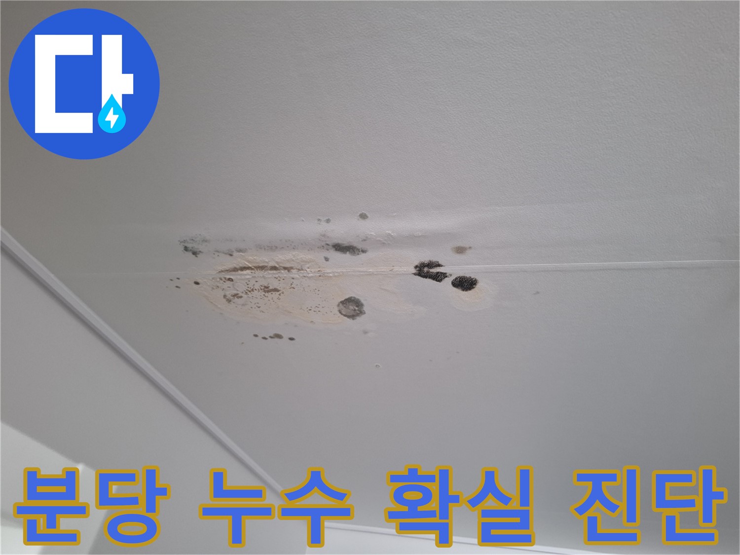누수 해결 - 최신 장비, 확실한 진단으로 해결