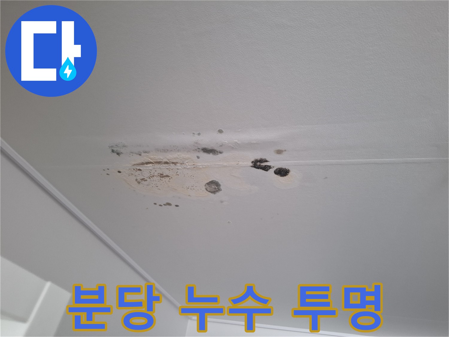 누수 해결 - 친절한 상담, 투명한 견적 제공