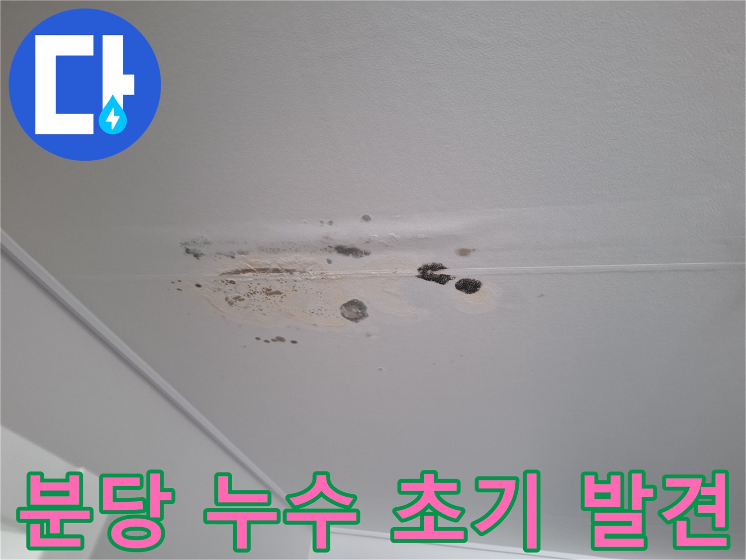 누수 흔적과 곰팡이 - 초기 발견, 빠른 조치가 중요