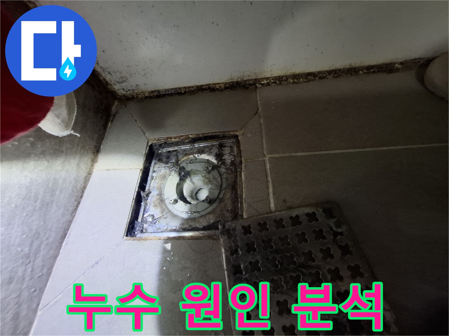 봇들마을 아파트 욕실 배수구 누수 - 정확한 원인 분석과 맞춤형 해결책 제시