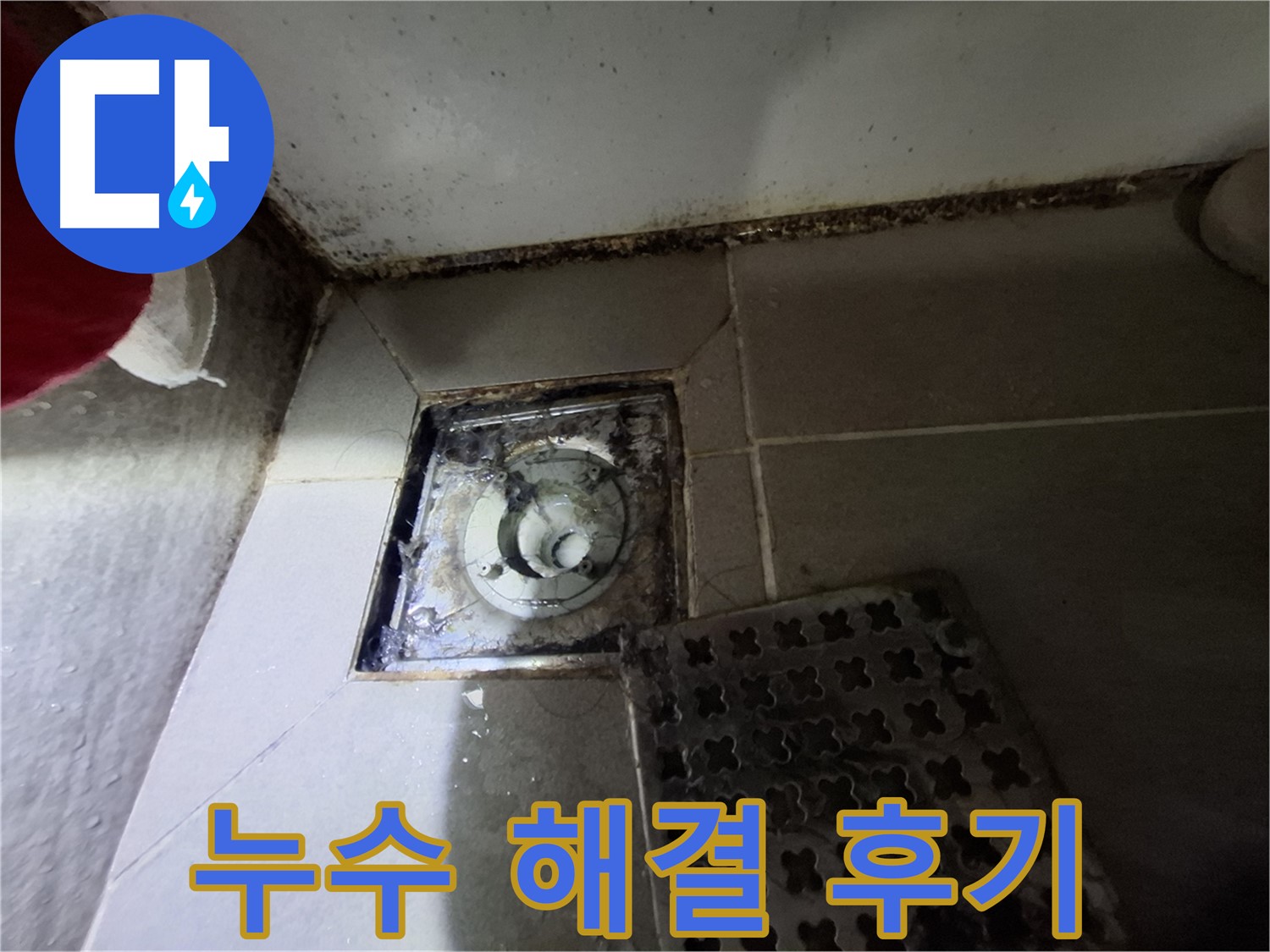 봇들마을 아파트 욕실 배수구 누수 해결 후기 - 고객 만족 100%