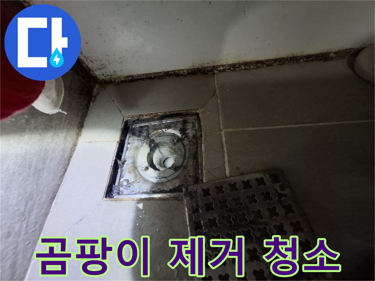 봇들마을2단지 아파트 욕실 - 곰팡이 제거 및 청소 서비스 제공