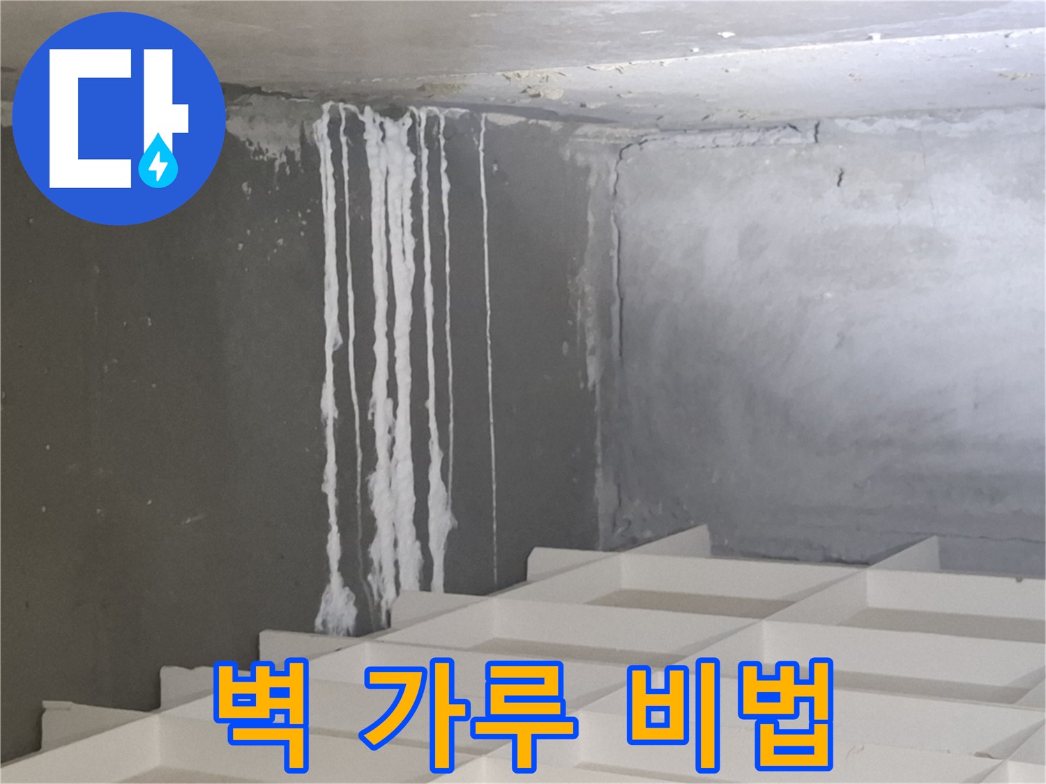 분당 누수 - 삼평동 아파트 벽에 맺힌 하얀 가루를 완벽하게 해결하는 전문 업체의 특별한 노하우