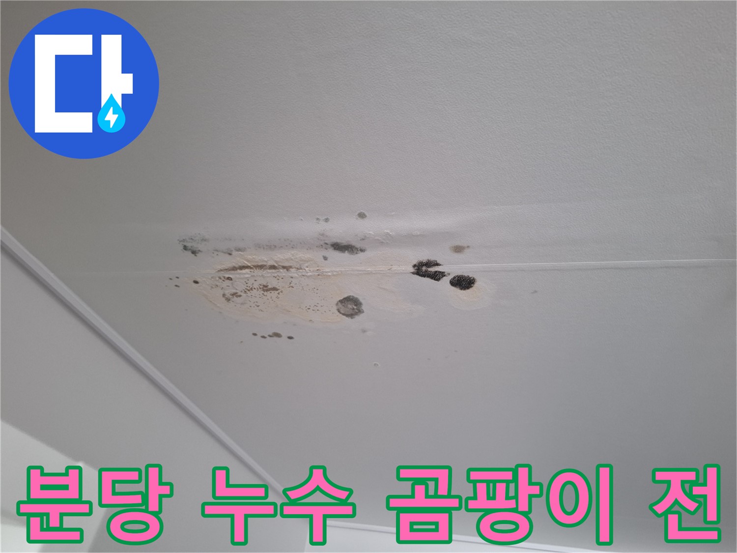 누수 초기 증상 - 곰팡이 발생 전, 예방이 중요