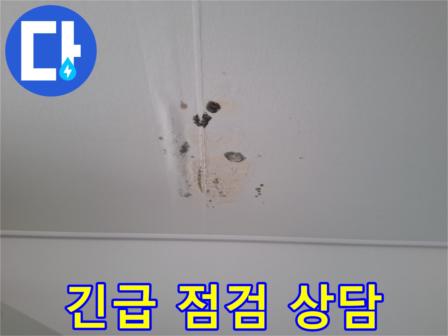 분당 봇들마을 봇들마을2단지 아파트 - 천장 누수 긴급 점검 및 친절한 상담을 제공합니다.