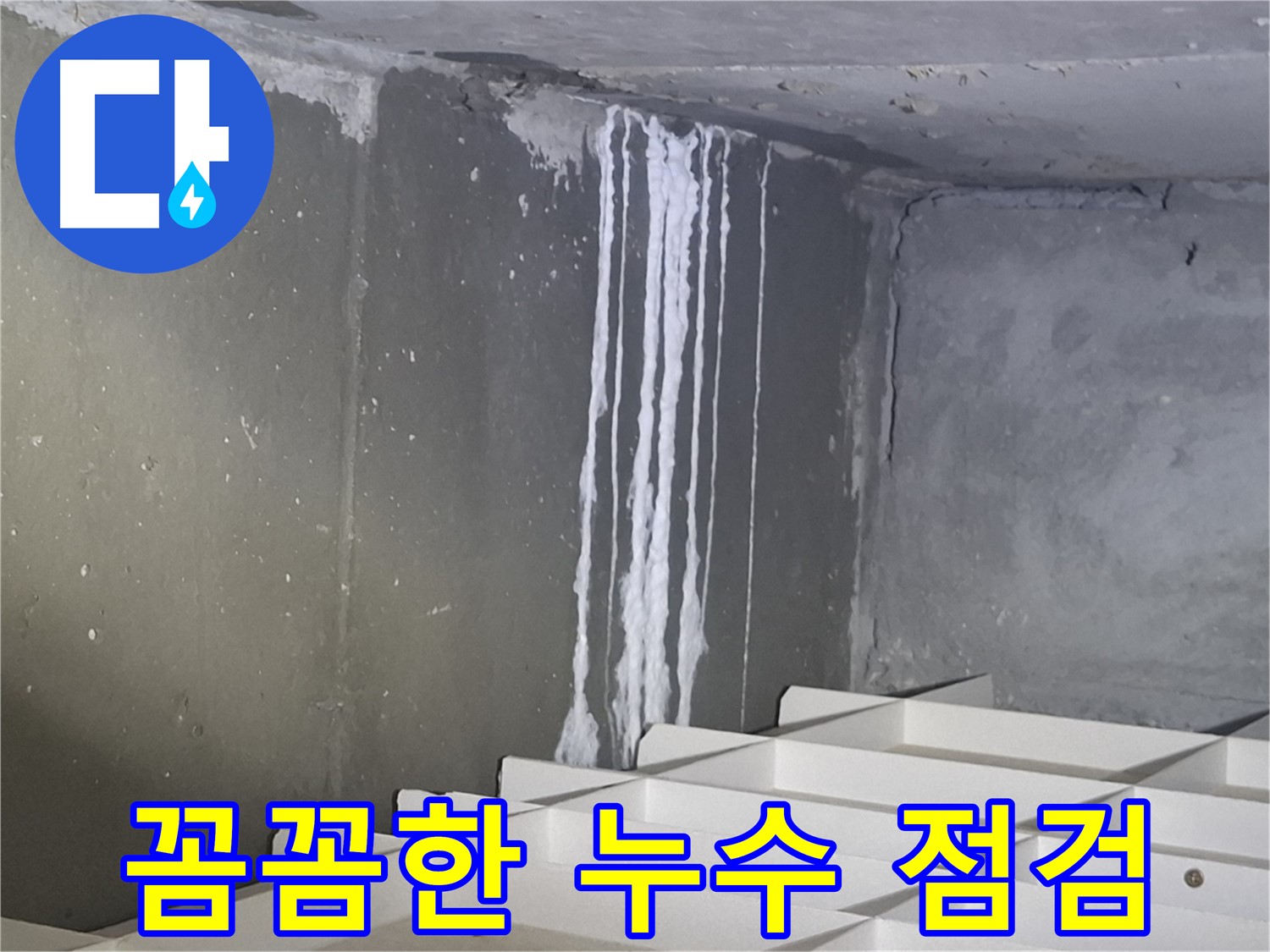 분당 봇들마을 아파트 주차장 누수 - 꼼꼼한 점검으로 문제 해결