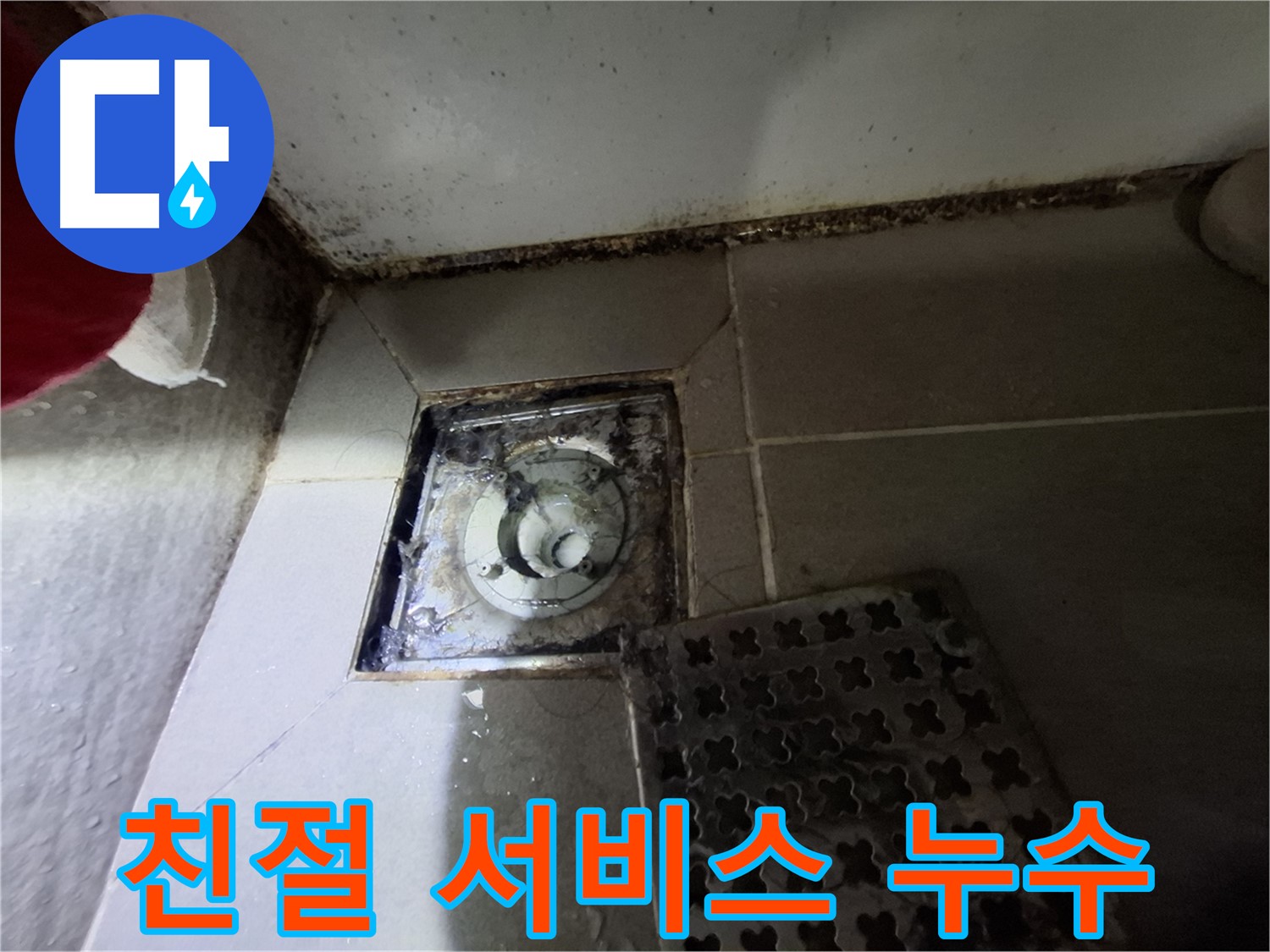 분당 봇들마을 욕실 배수구 누수 - 친절하고 꼼꼼한 서비스 제공