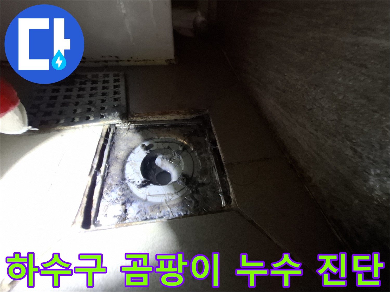 분당 봇들마을 욕실 하수구 주변 곰팡이 - 누수 진단으로 정확한 원인 파악