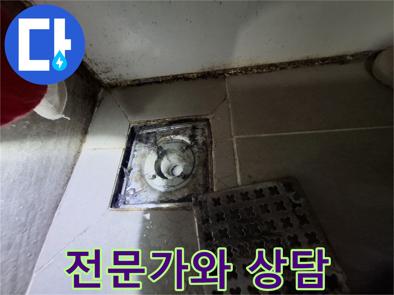 분당 봇들마을2단지 욕실 - 곰팡이 - 누수 초기 증상 - 전문가 상담