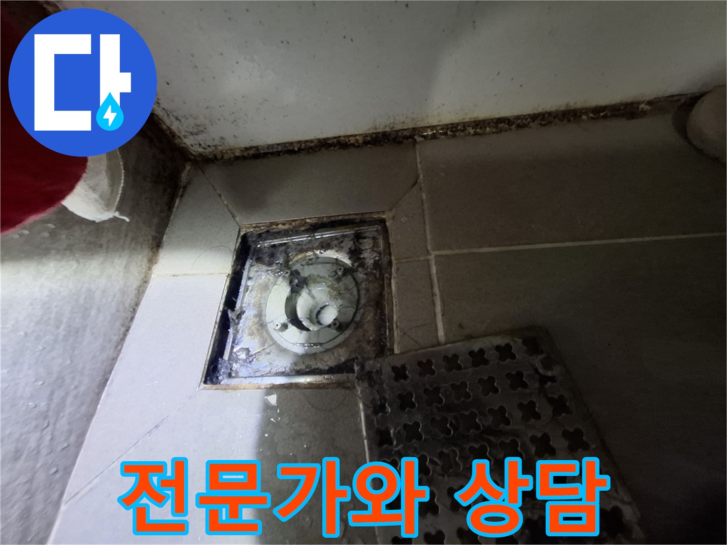 분당 봇들마을2단지 욕실 - 곰팡이 - 누수 초기 증상 - 전문가 상담