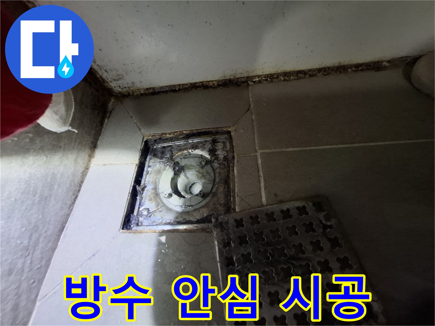 분당 봇들마을2단지 욕실 - 곰팡이 제거 후 완벽 방수, 안심 시공