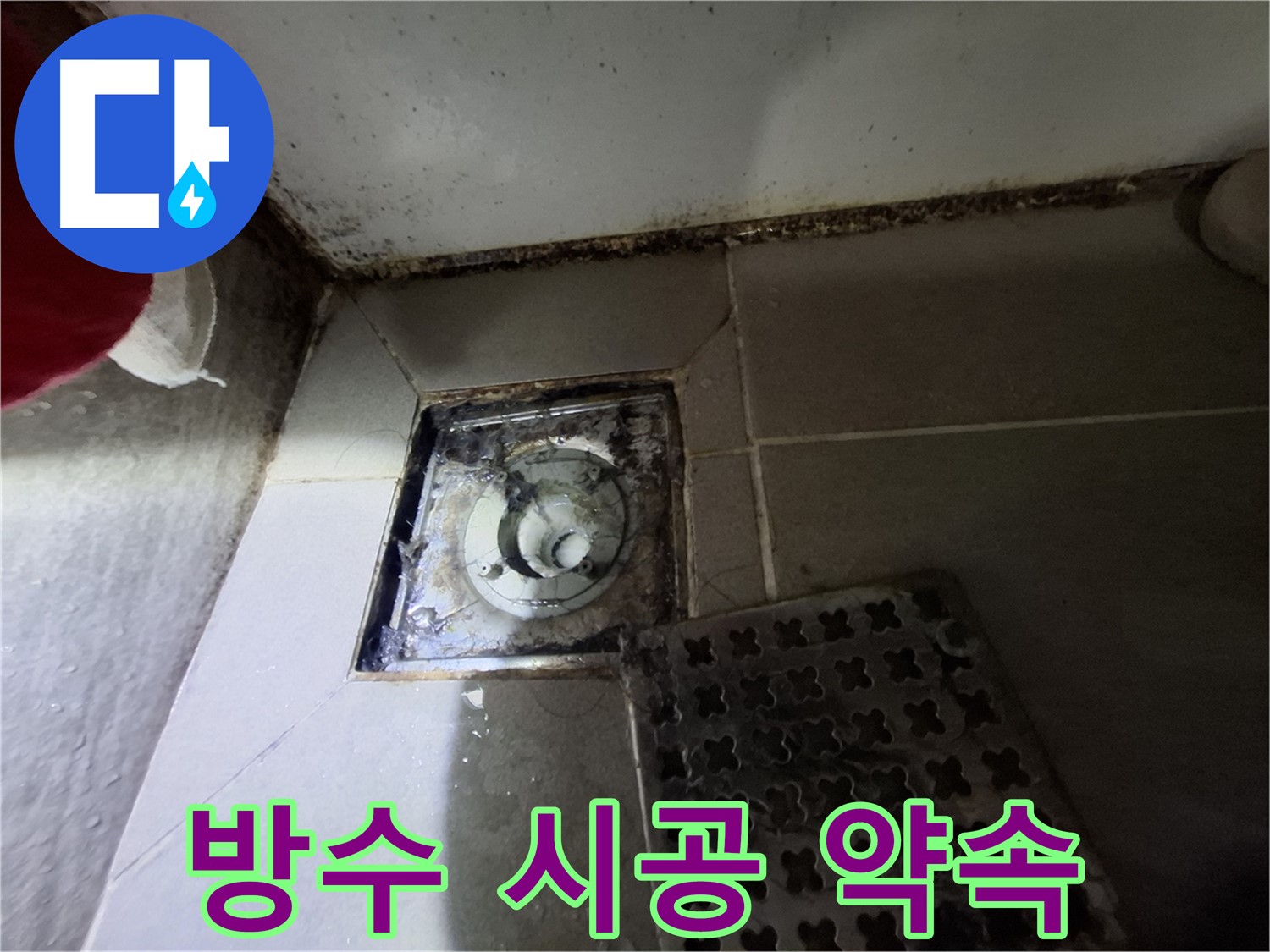 분당 봇들마을2단지 욕실 - 곰팡이 제거 후 완벽한 방수 시공 약속