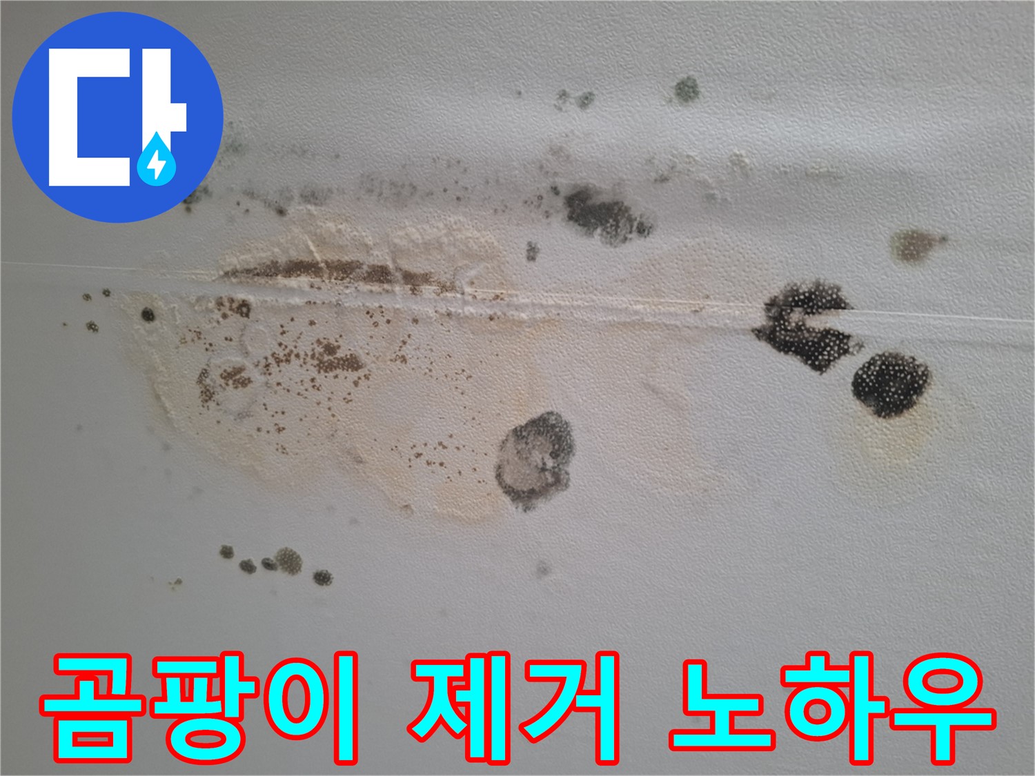 분당 삼평동 누수 - 봇들마을 이지더원 천장 곰팡이 제거 전문 노하우 공개