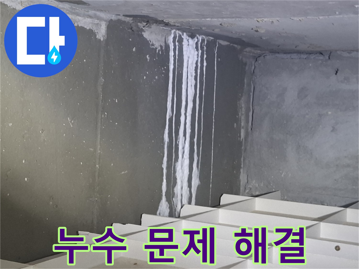 분당 삼평동 봇들마을 누수 해결 - 완벽한 기술력으로 문제 해결