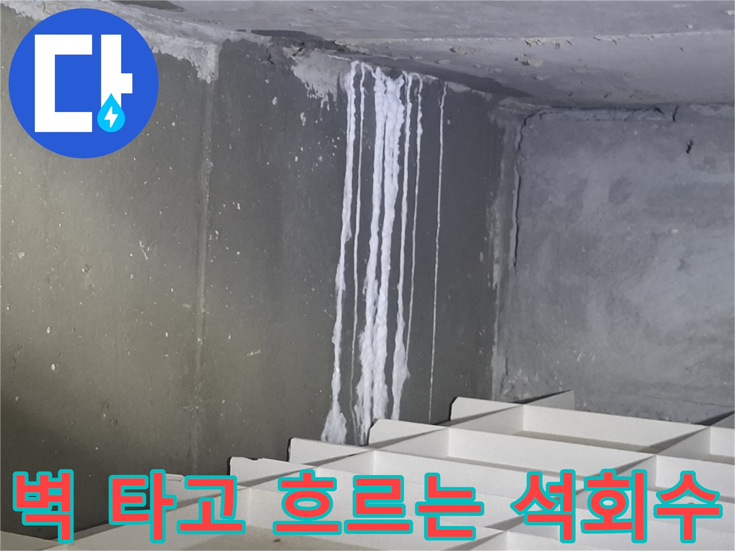 분당 삼평동 봇들마을2단지 아파트 누수 - 콘크리트 벽을 타고 흐르는 석회수
