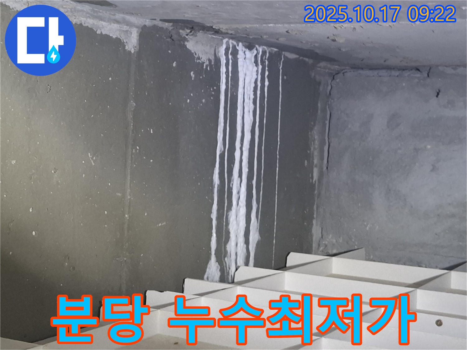분당 삼평동 봇들마을2단지 아파트 누수 - 합리적인 가격과 최고의 서비스로 고객 만족을 드립니다. 가격 비교 환영!