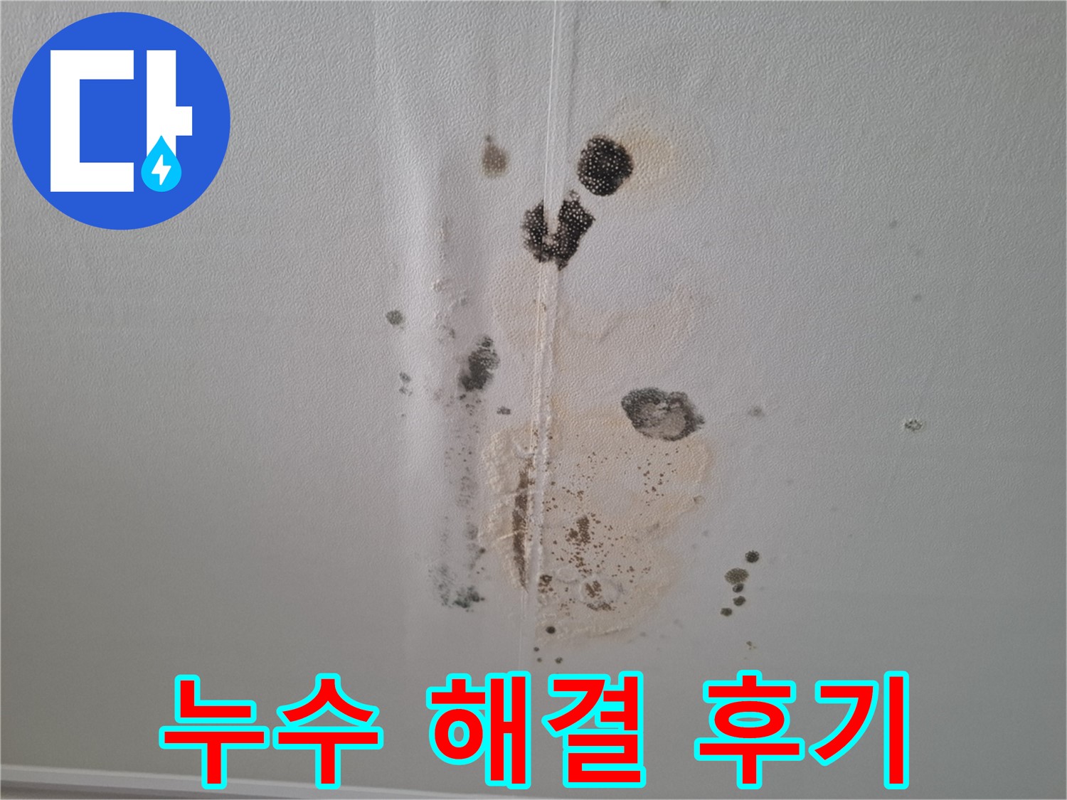 분당 아파트 누수 해결 후기 - 곰팡이 제거 및 완벽 시공 사례