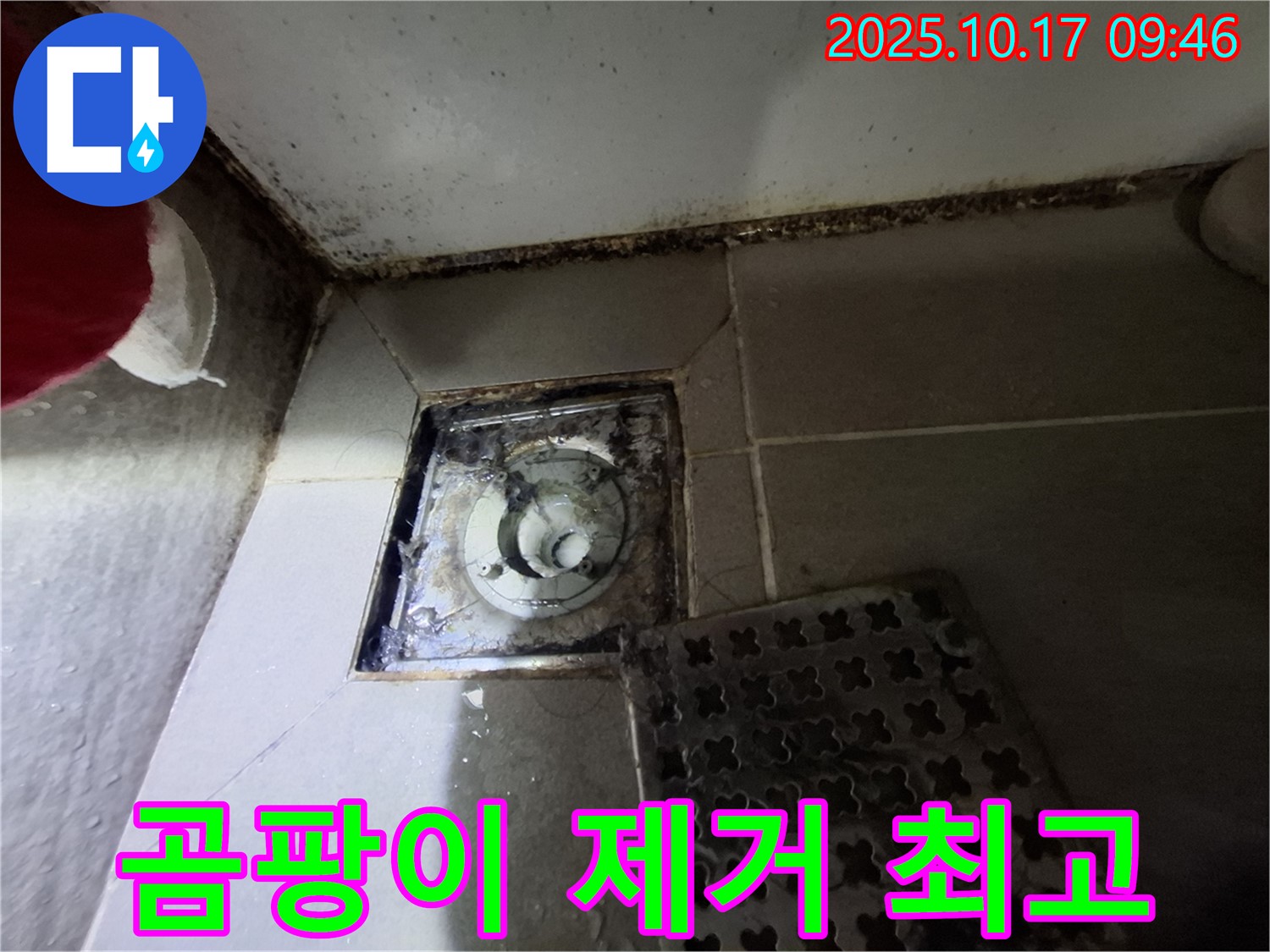 분당 판교 봇들마을 아파트 - 욕실 배수구 곰팡이 제거 - 누수 완벽 차단 - 최고의 기술력과 서비스로 쾌적한 욕실 환경을 만들어 드립니다.