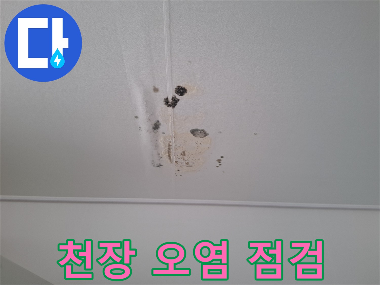 분당구 삼평동 봇들마을 아파트 천장 오염 상태 - 누수 흔적과 곰팡이가 심각합니다.