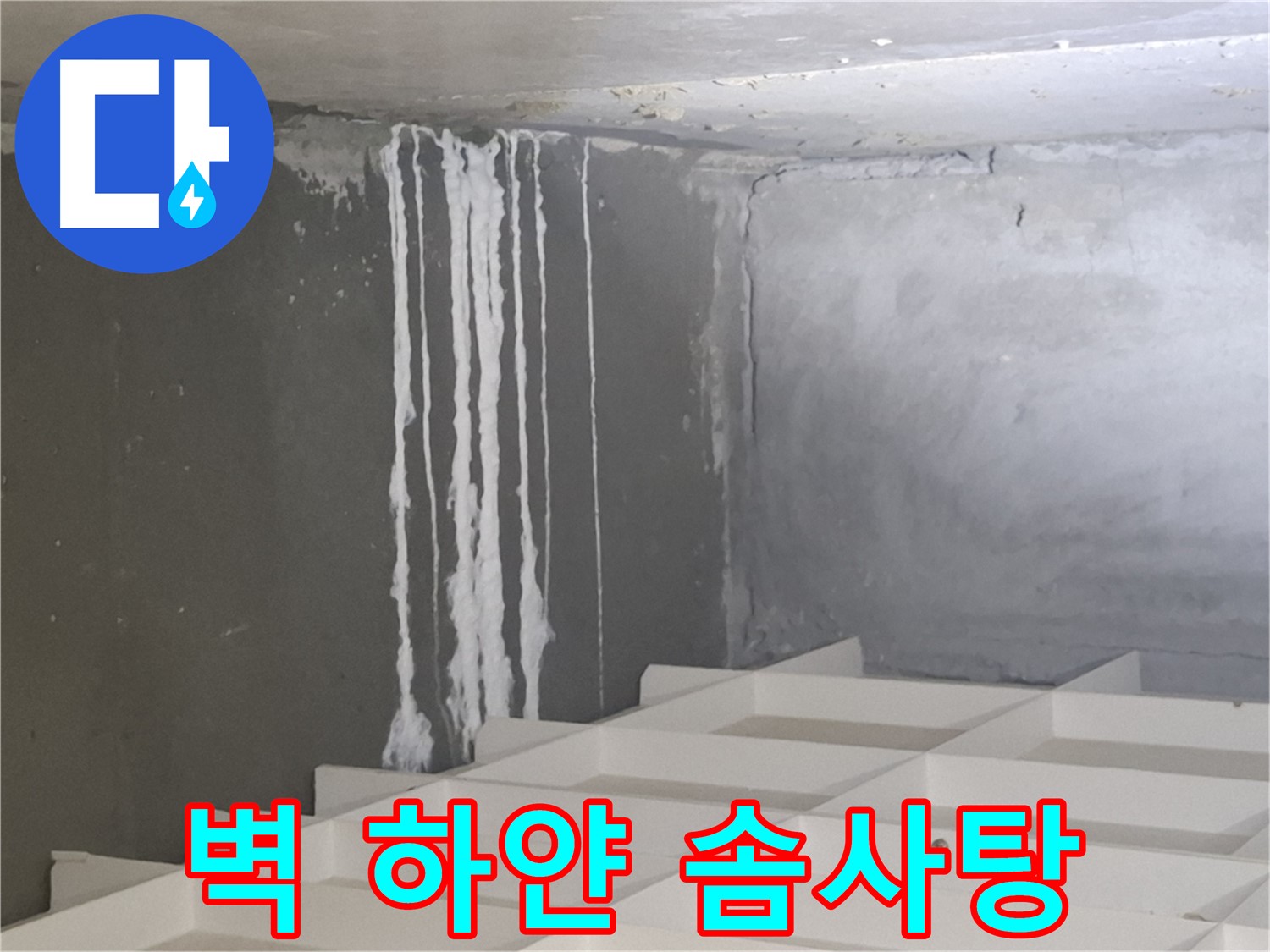 삼평동 누수 - 벽에 맺힌 하얀 솜사탕, 누수와 관련된 석회 성분일 가능성 정밀 진단