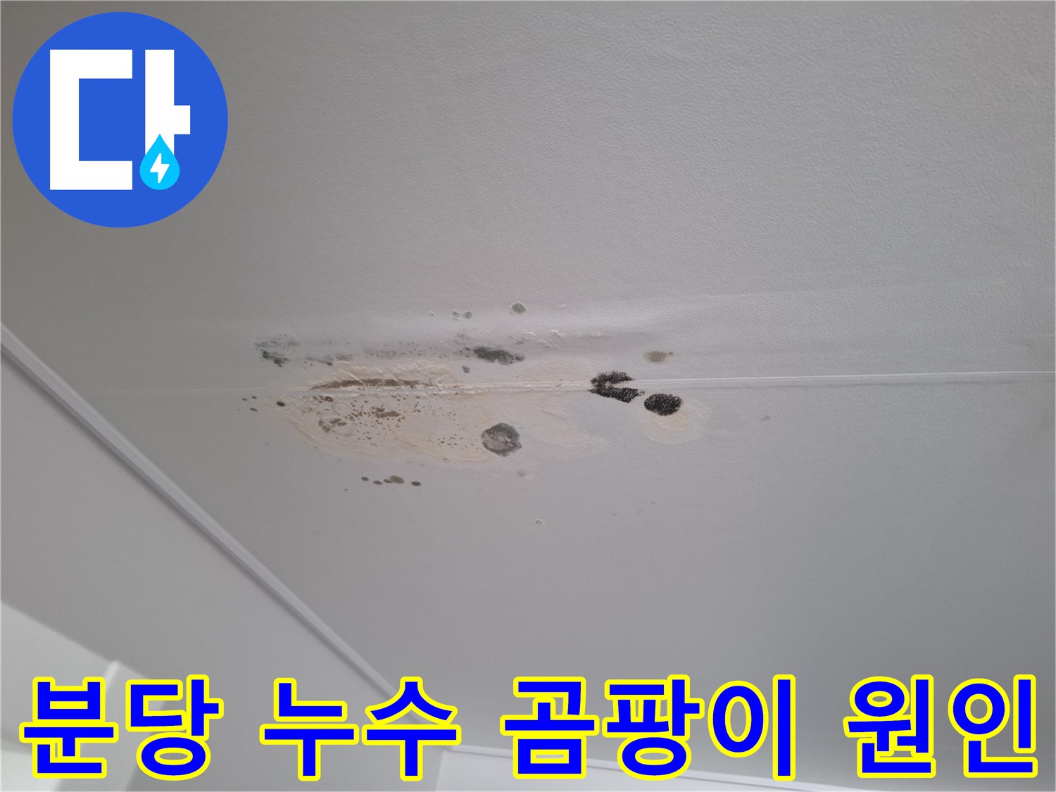곰팡이 천장 - 누수 원인부터 해결해야 재발 방지