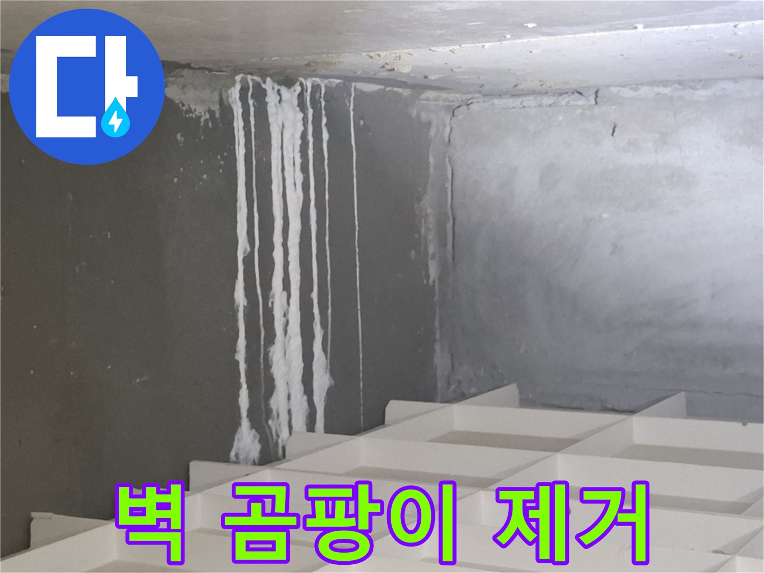 삼평동 아파트 누수 - 벽에 맺힌 하얀 곰팡이 문제, 재발 방지를 위한 완벽 시공 노하우 공개