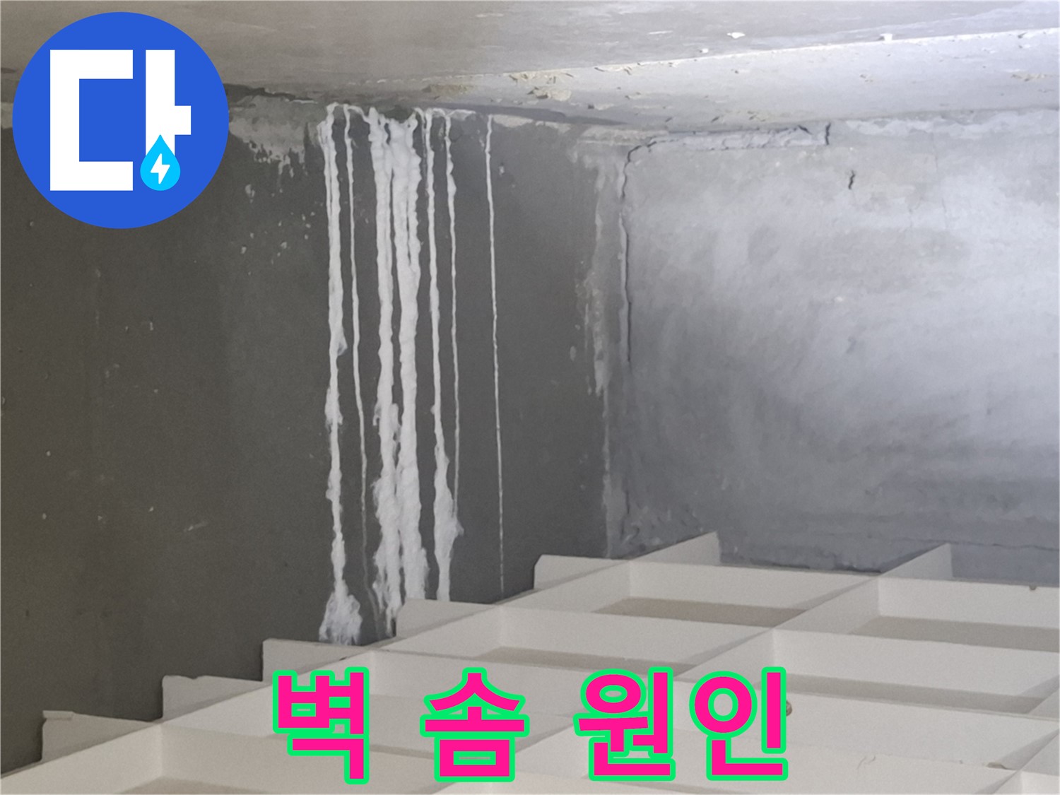 삼평동 아파트 누수 - 벽에 맺힌 하얀 솜 원인 분석 및 효과적인 해결 방법 제시