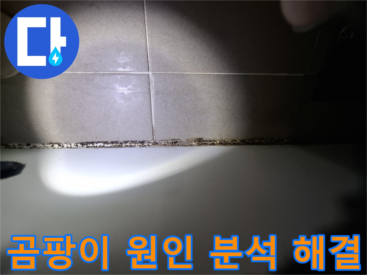 욕조 곰팡이 - 곰팡이 원인 정밀 분석 및 맞춤 해결