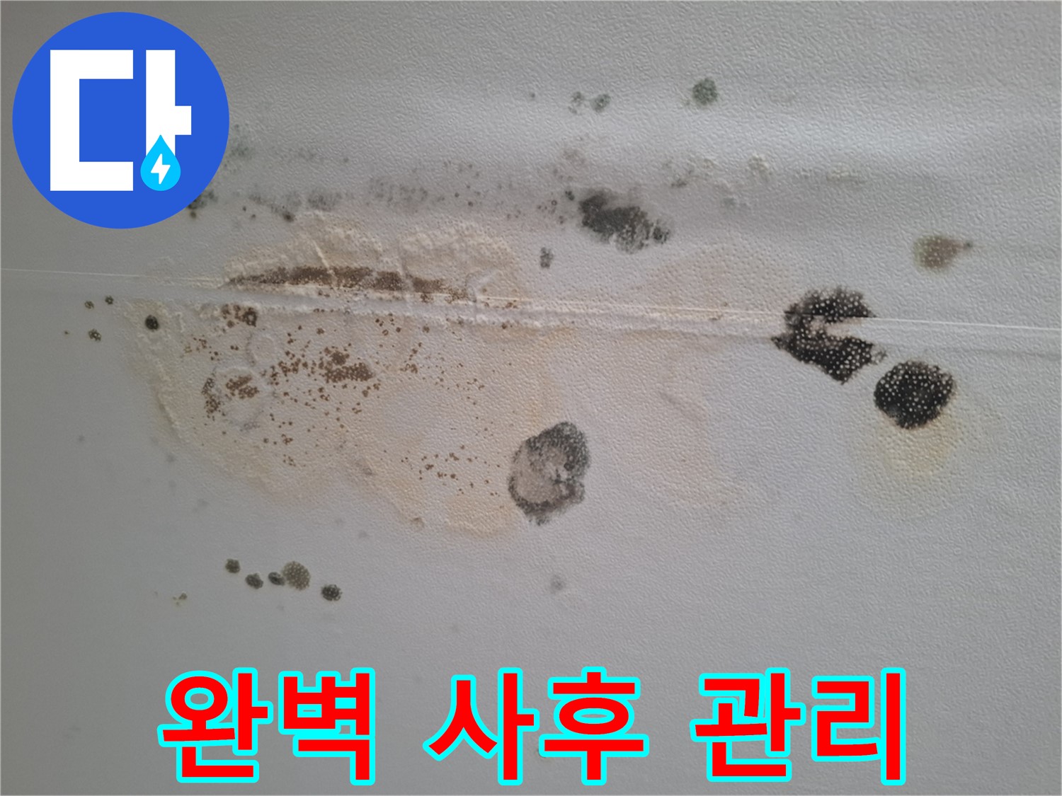 성남 봇들마을 누수 - 곰팡이 천장 제거 후 완벽한 사후 관리 보장