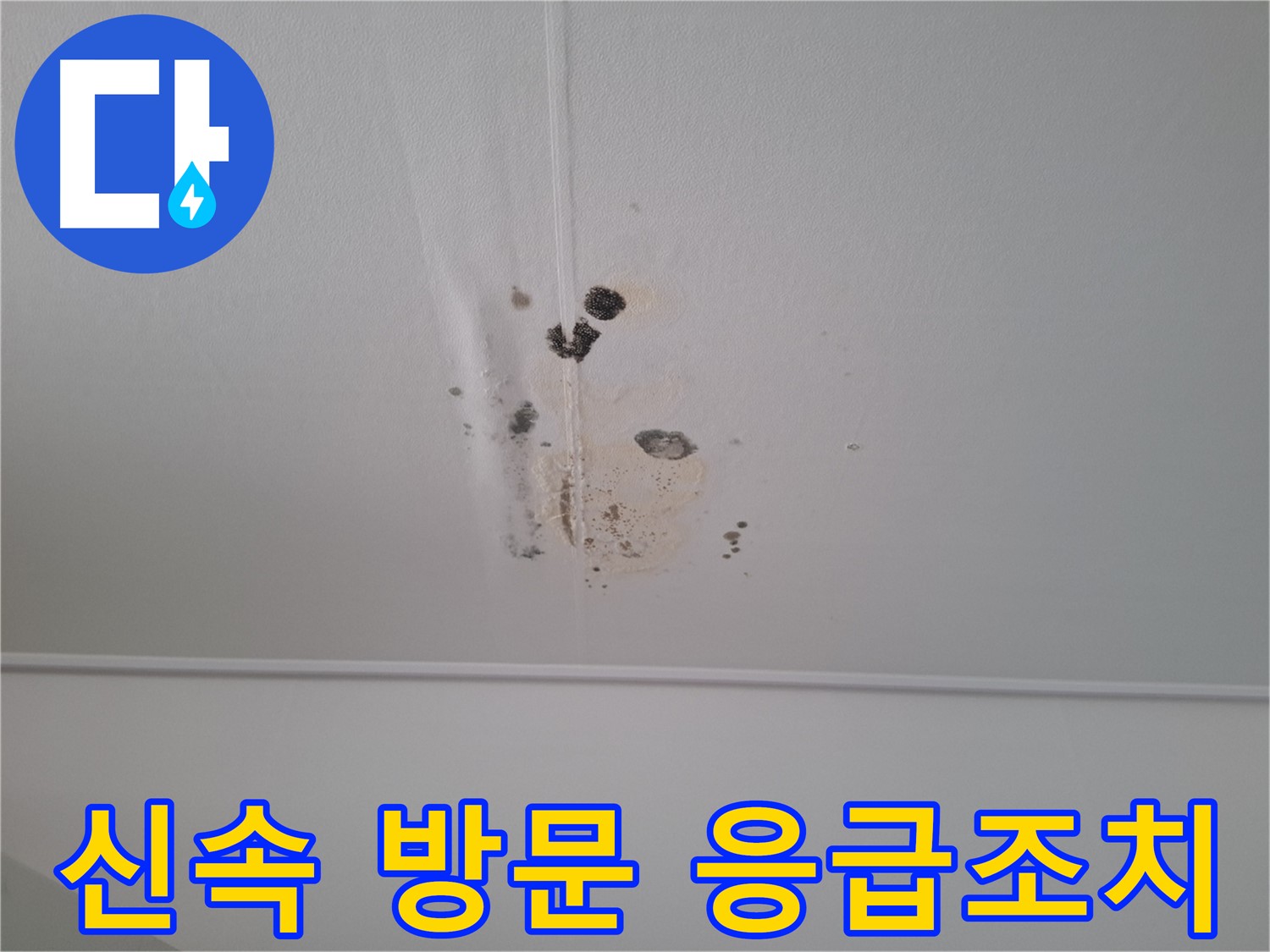 성남 봇들마을 봇들마을2단지 아파트 - 천장 누수 발생 시 신속하게 방문하여 응급조치를 취합니다.