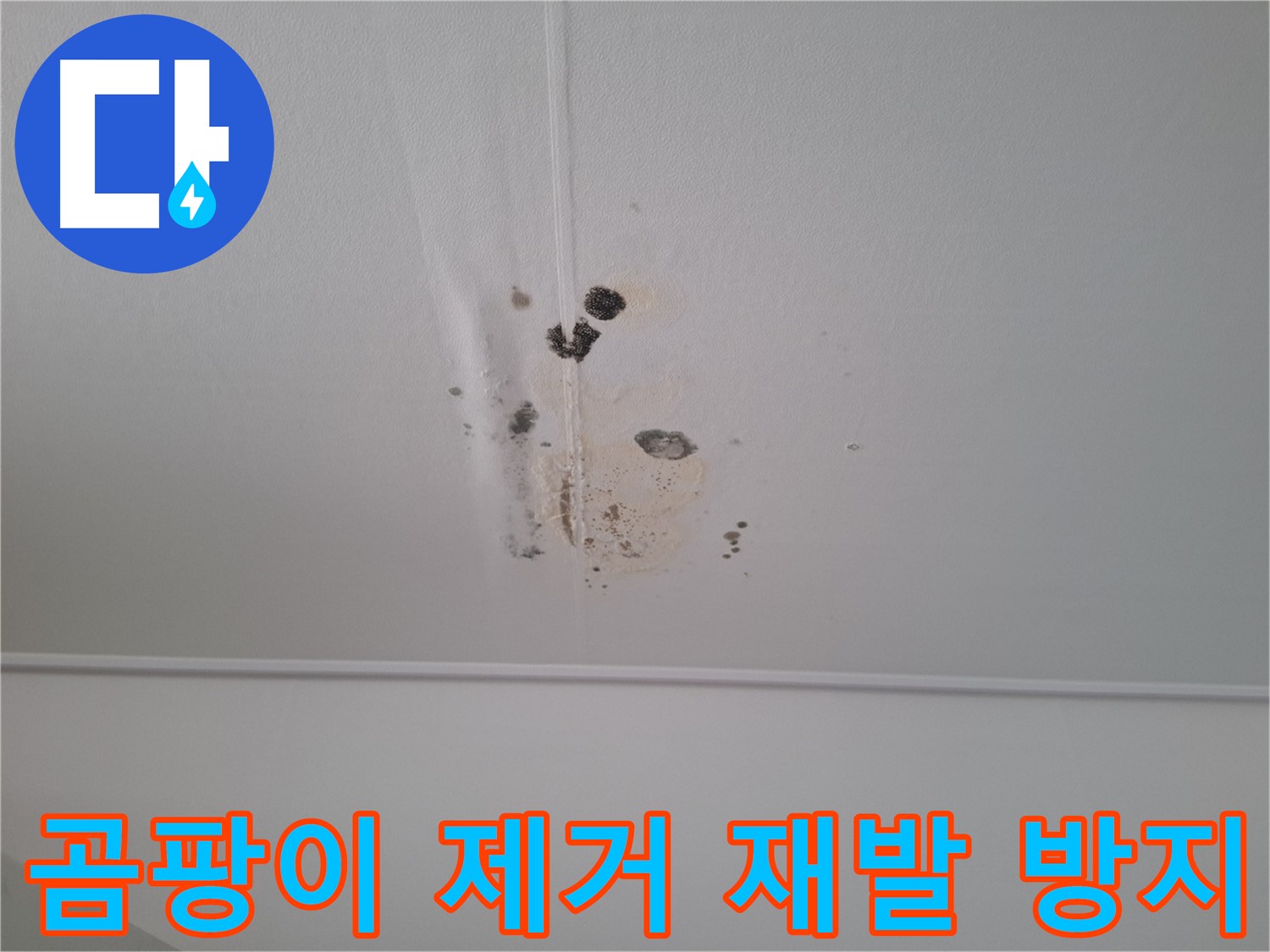 성남 봇들마을 아파트 - 천장 누수, 곰팡이 제거 후 완벽한 재발 방지 시공을 약속드립니다.