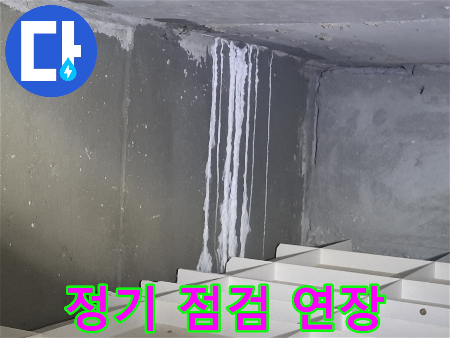 성남 봇들마을2단지 아파트 누수 - 정기적인 점검으로 건물 수명 연장