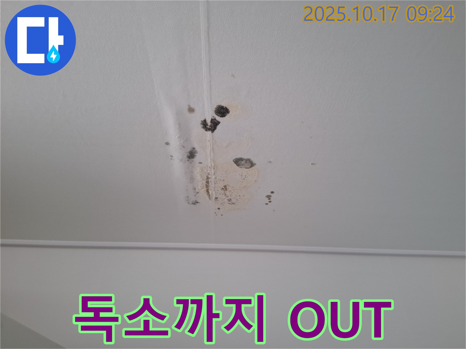 성남 봇들마을2단지 아파트 천장 누수 - 곰팡이 독소까지 OUT! 건강 시공