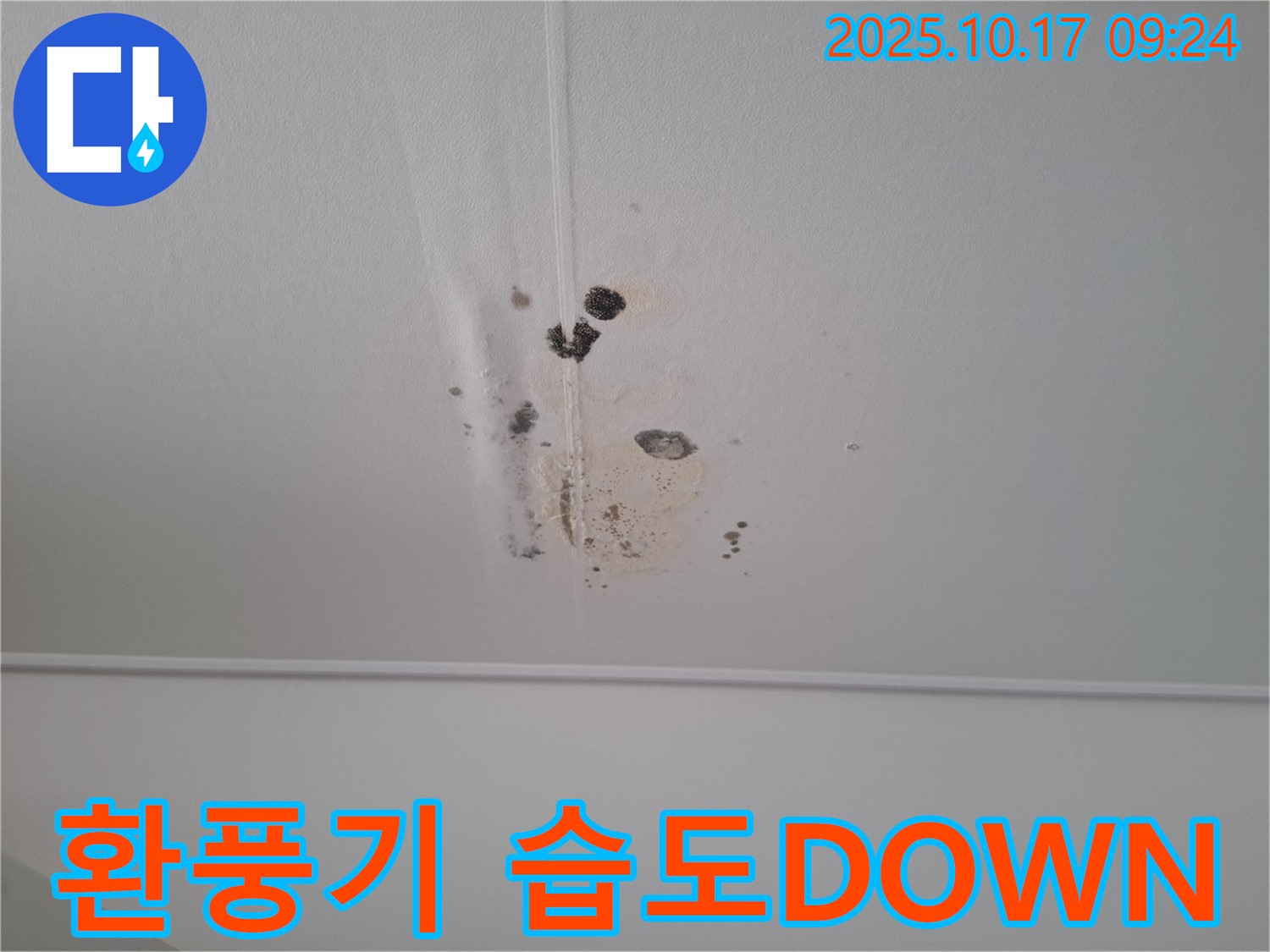 성남 봇들마을2단지 아파트 천장 누수 - 환풍기 설치로 습도 DOWN