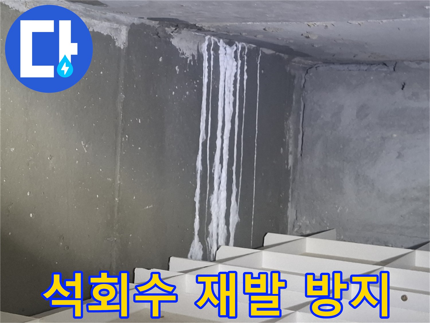 성남 분당 봇들마을 누수 - 석회수 누수 재발 방지를 위한 완벽 시공!