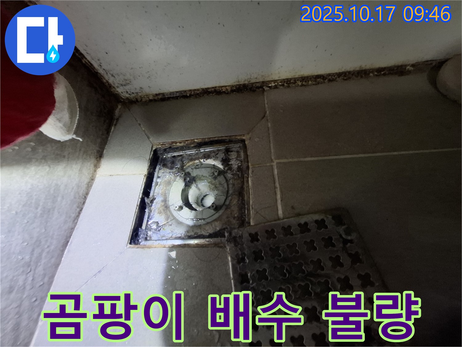 성남 분당 봇들마을2단지 아파트 - 욕실 곰팡이 제거 및 배수 불량 해결 전문 - 쾌적한 욕실 환경을 위한 선택.