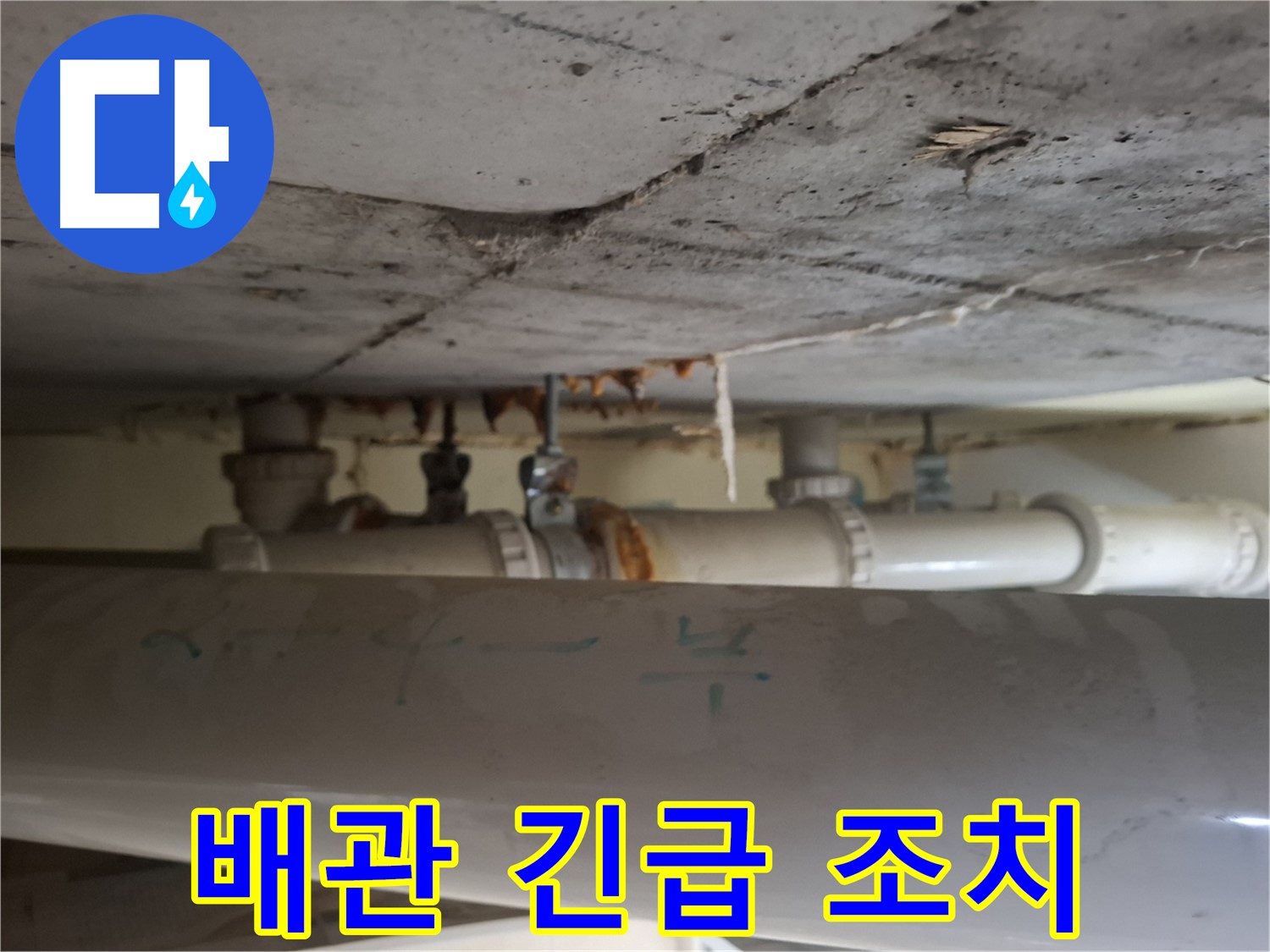 성남 분당구 봇들마을 2단지 아파트 - 천장 배관 누수 긴급 점검 및 신속 조치 진행