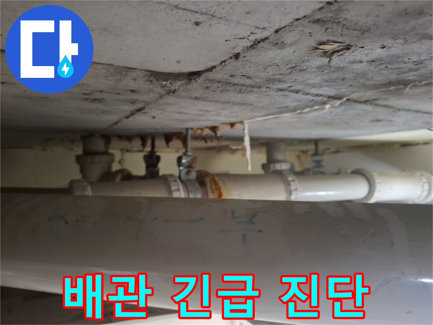 성남 분당구 봇들마을2단지 아파트 - 천장 배관 누수 긴급 진단 및 신속 조치 진행