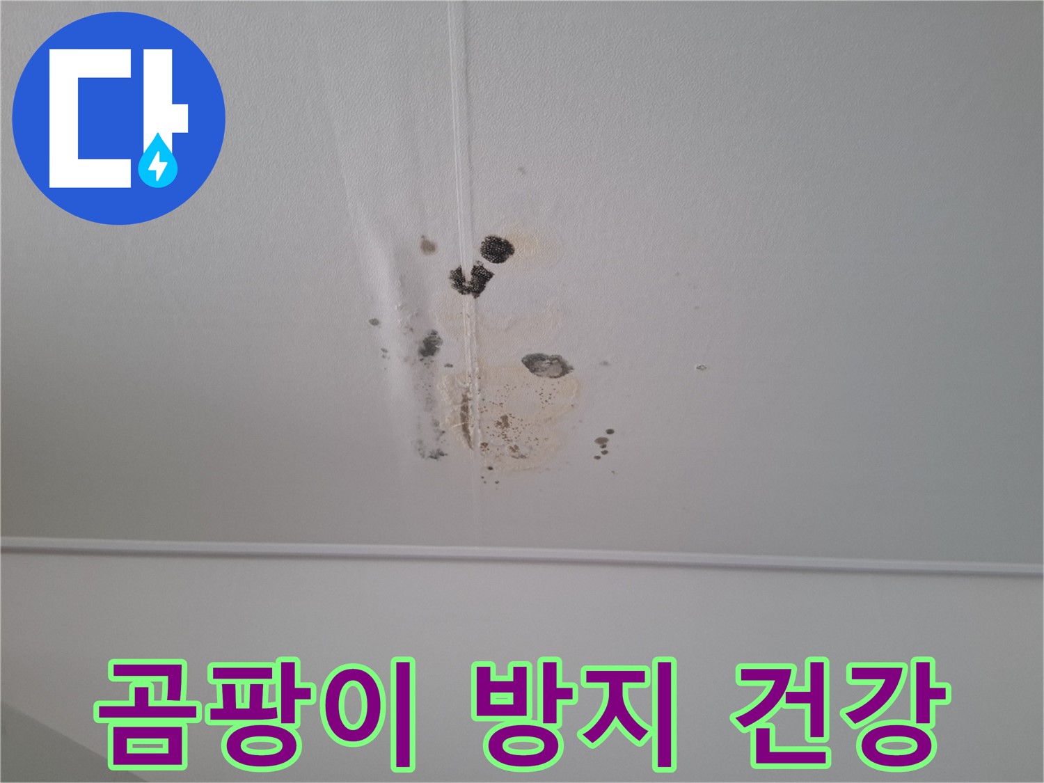 성남 삼평동 봇들마을2단지 아파트 - 곰팡이 방지 시공으로 건강한 생활 환경을 만들어 드립니다.
