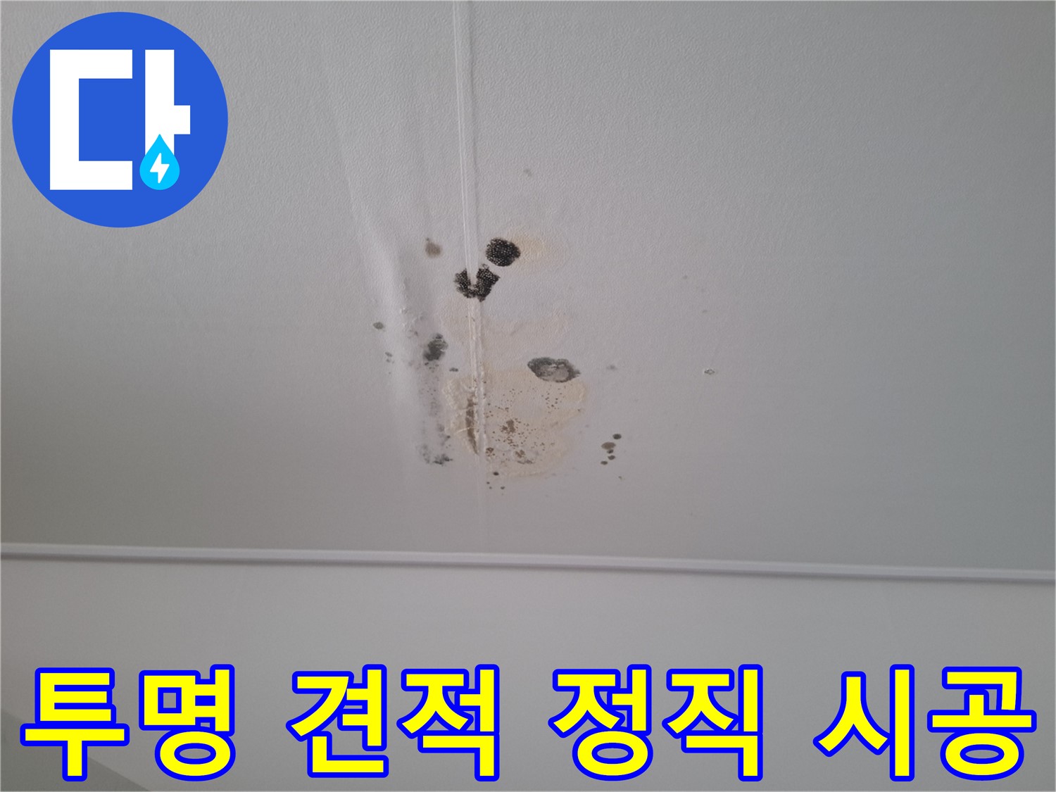 성남 삼평동 봇들마을2단지 아파트 - 투명한 견적과 정직한 시공을 약속드립니다.