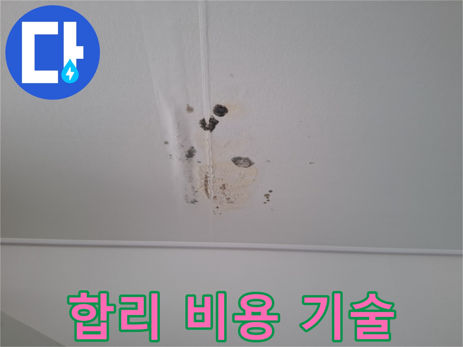 성남 삼평동 봇들마을2단지 아파트 - 합리적인 비용으로 최고의 누수 시공 서비스를 제공합니다.