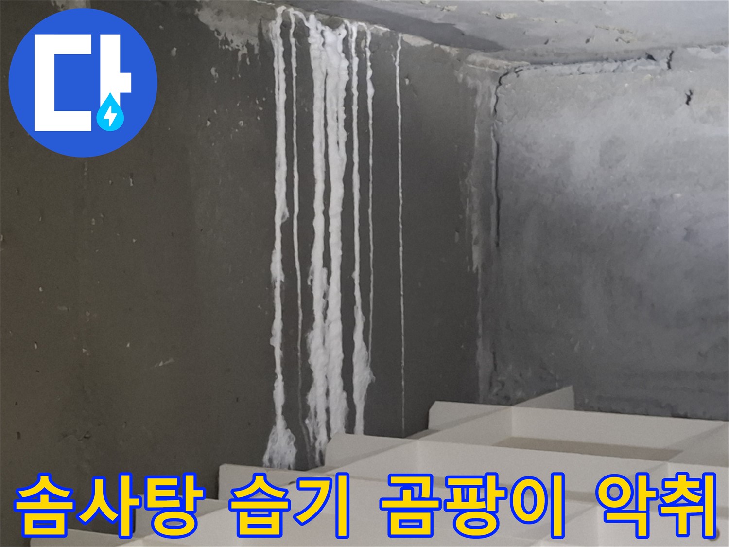 성남 판교 봇들마을 아파트 - 계단 '하얀 솜사탕' 누수는 습기와 곰팡이 확산을 촉진하고 악취를 유발합니다.