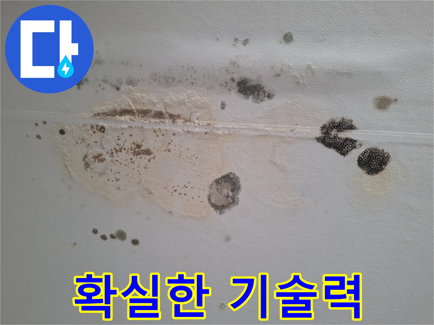 성남시 분당구 삼평동 곰팡이 누수 - 확실한 기술력으로 곰팡이 문제 해결