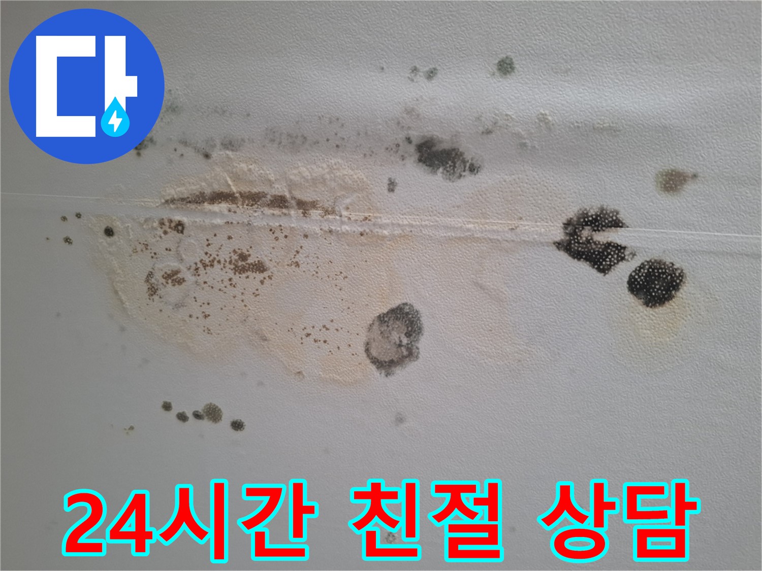 성남시 분당구 삼평동 누수 - 곰팡이 핀 천장, 24시간 친절 상담 제공