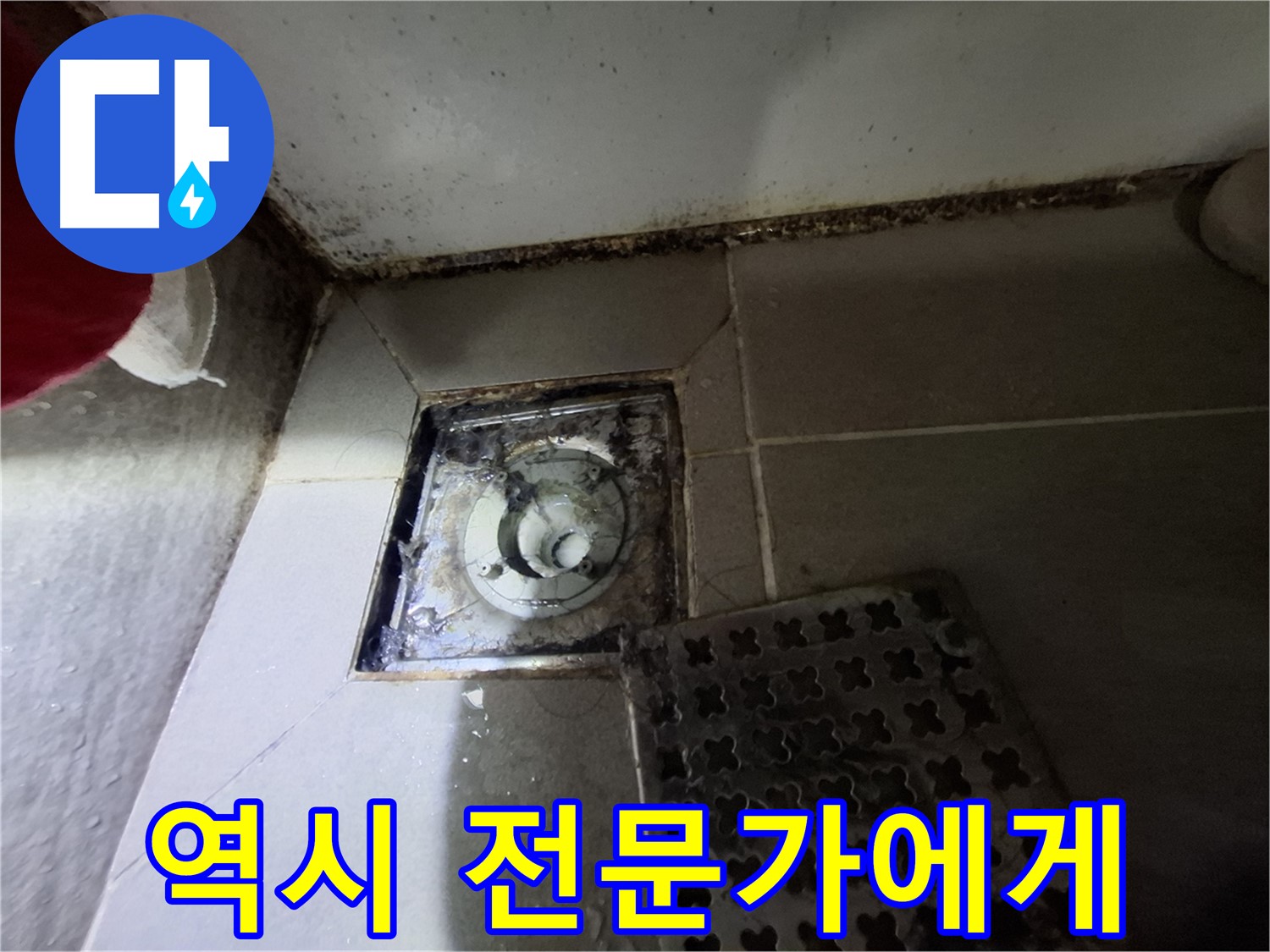 성남시 분당구 삼평동 봇들마을2단지 욕실 - 역시 문제 해결은 전문가에게