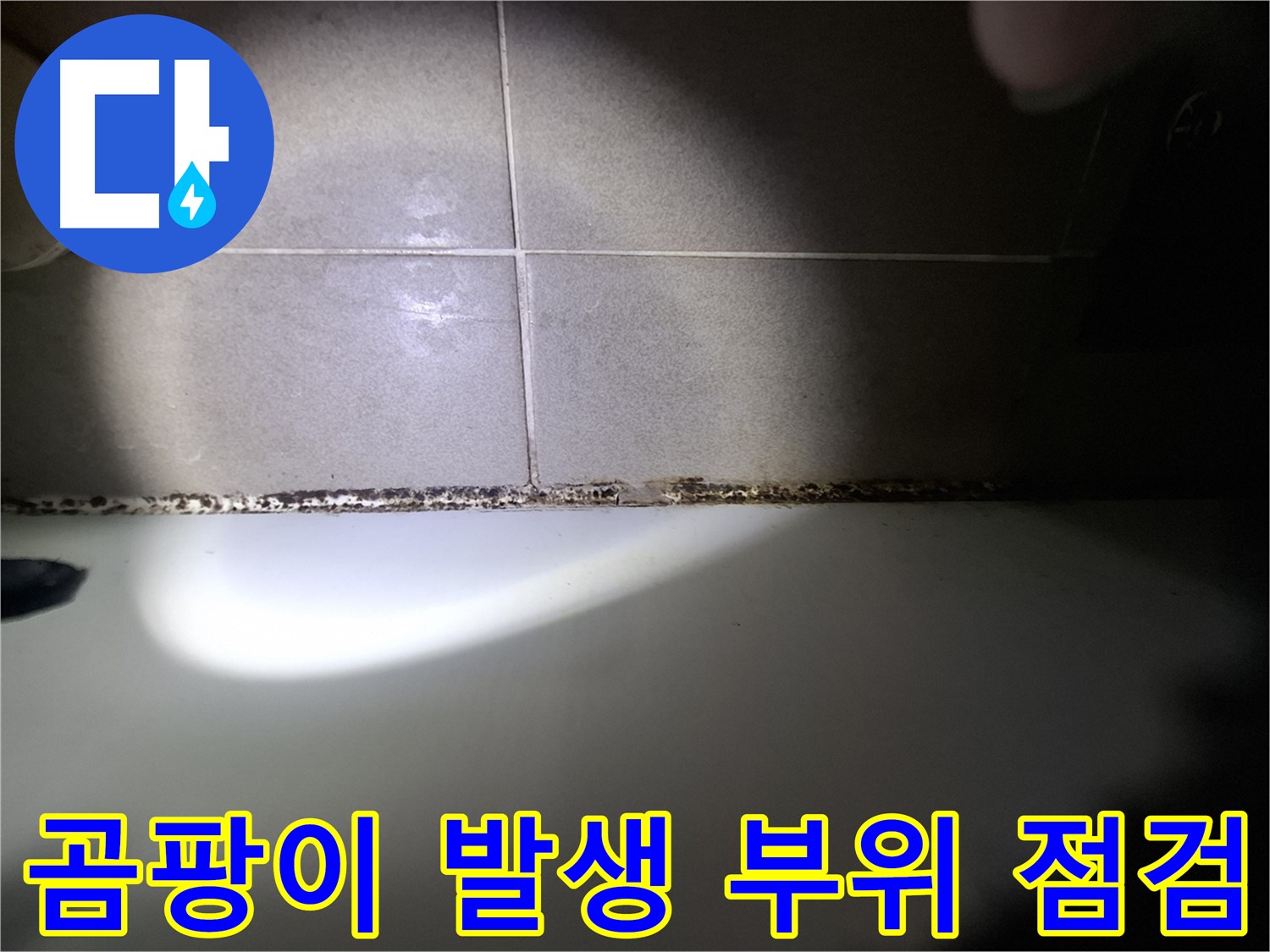 욕실 곰팡이 점검 - 타일 틈새 및 방수층 손상 여부 확인