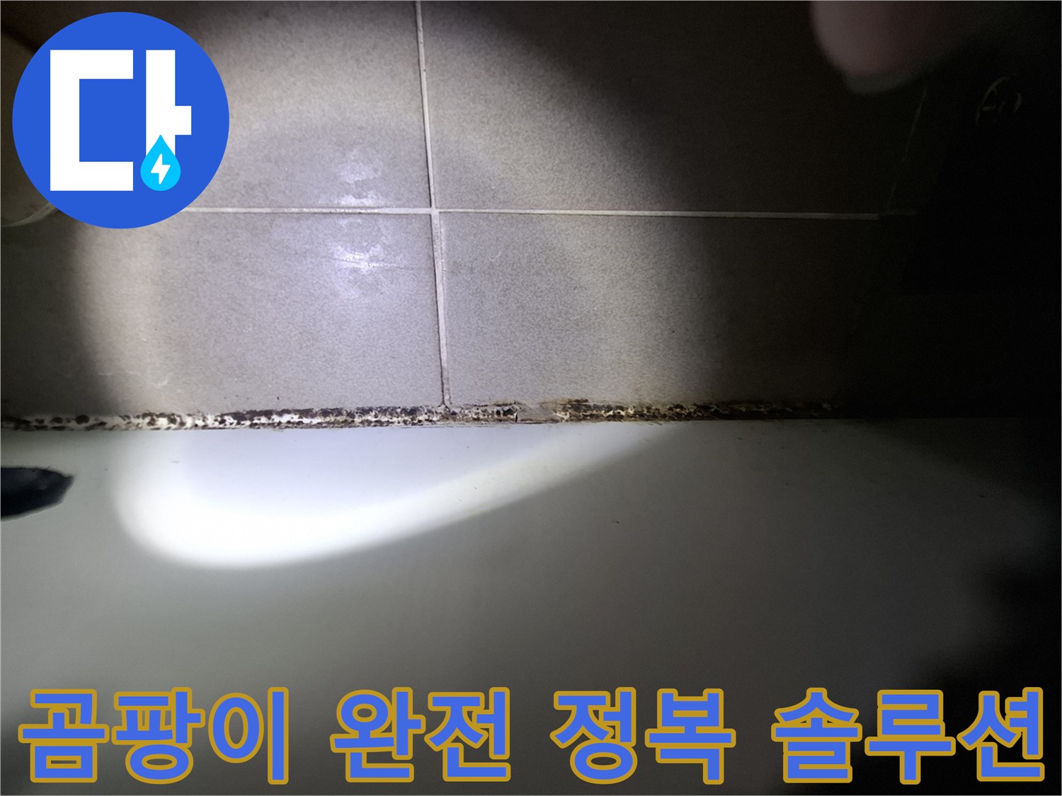 욕조 곰팡이 - 곰팡이 완전 정복을 위한 맞춤 솔루션 제공