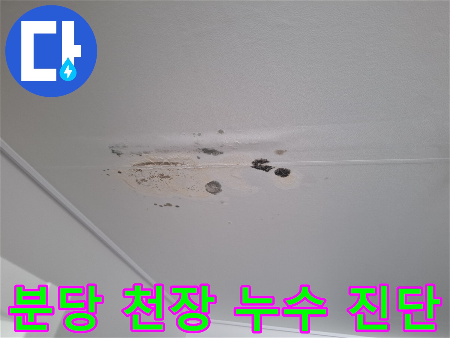 천장 누수 흔적과 곰팡이 - 누수 범위 및 곰팡이 상태 파악을 위한 정밀 진단