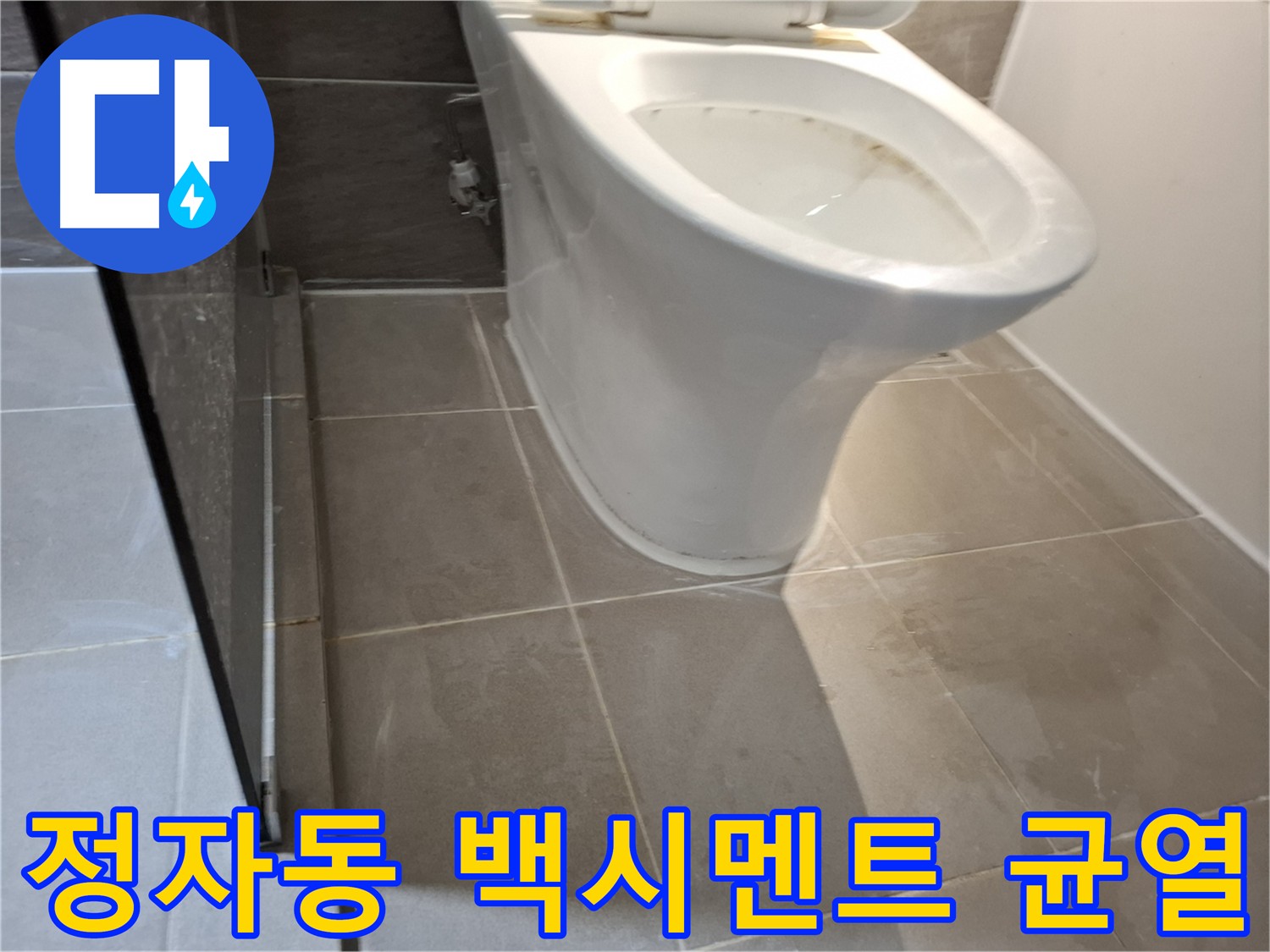 분당구 정자동 변기 하부 백시멘트 균열 점검