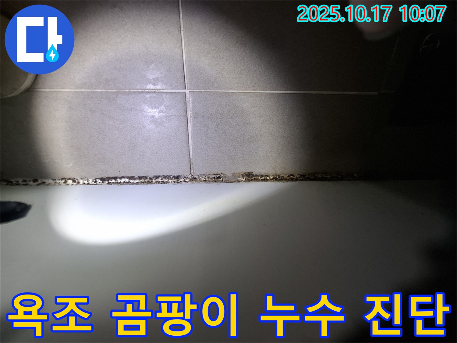 판교 누수 전문가가 욕조 곰팡이의 누수 진단부터 해결까지 책임집니다.